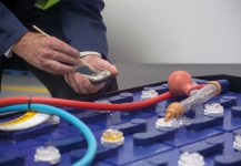 Ieteikumi par elektroiekrāvēja akumulatoru baterijas uzturēšanu, 2. daļa