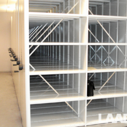 laadur-musu-darbi-plaukti-04-02