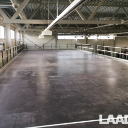 laadur-musu-darbi-plaukti-04-12